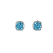 Sterling Silver Blue Topaz Fashion Earrings - jewelerize.com